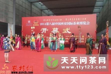 第十三届中国西安国际茶业博览会隆重开幕