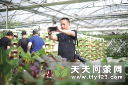 福海茶厂赵庆华：传统茶企转型升级下的品牌价值构建实践