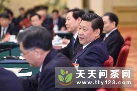年轻的心是茶产业的原动力——记陕西老傅的茶农业科技有限公司总经理傅元欣
